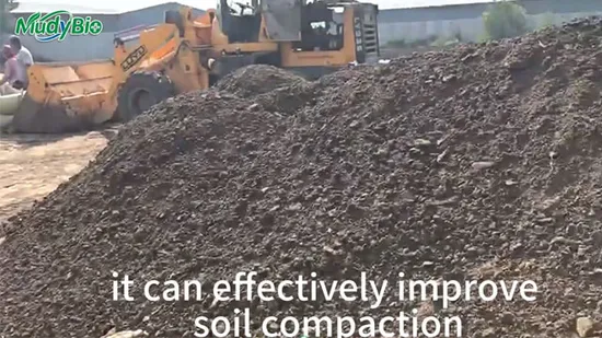 NPK Fertilizer Plant Roller Press Fertilizer Granulator Machine/Organic/Custom/One Stop Solution/Animal Manure Poultry/Urea Fertilize/Pig/Cow/Pellet Press Price