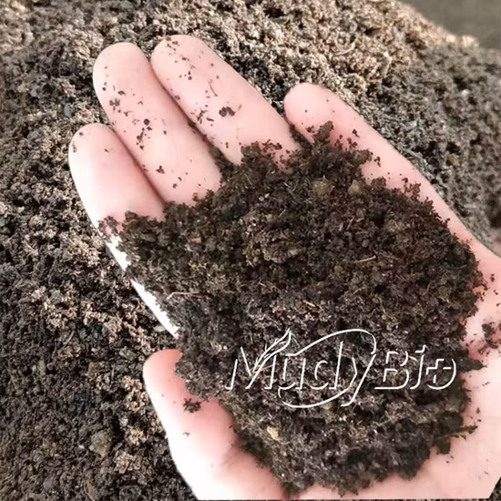 NPK Fertilizer Plant Roller Press Fertilizer Granulator Machine/Organic/Custom/One Stop Solution/Animal Manure Poultry/Urea Fertilize/Pig/Cow/Pellet Press Price