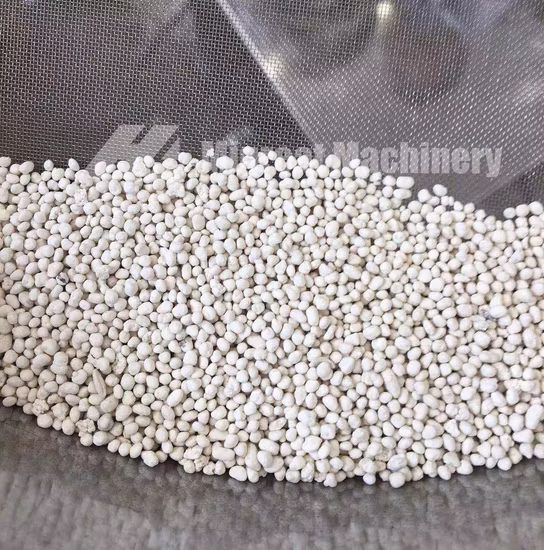 Granulator/pharmazeutische Maschine der FL-Serie